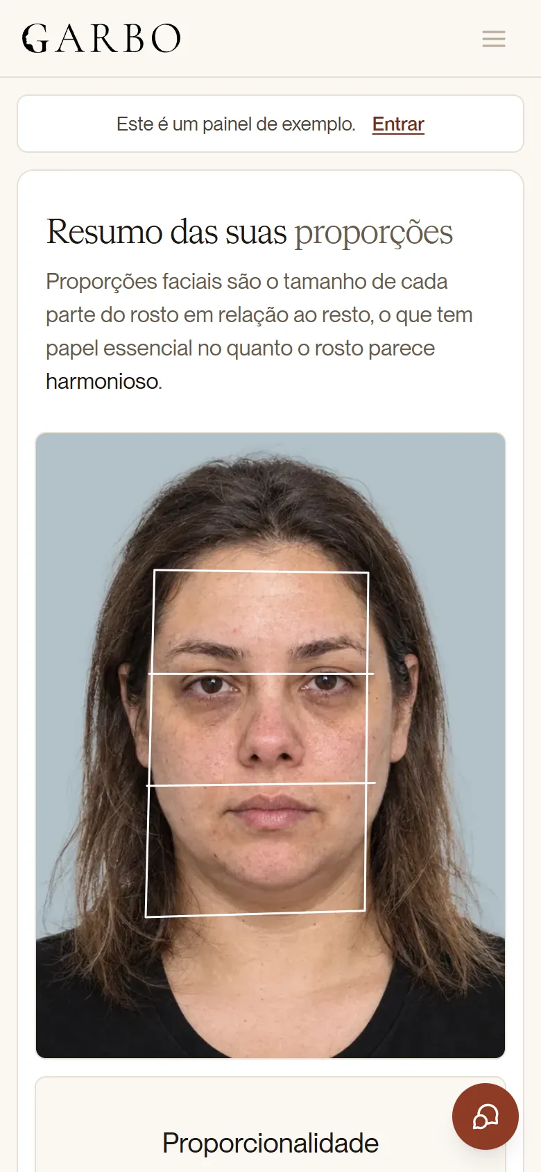 Tela de Proporções do painel, com a foto marcada e a nota de proporcionalidade