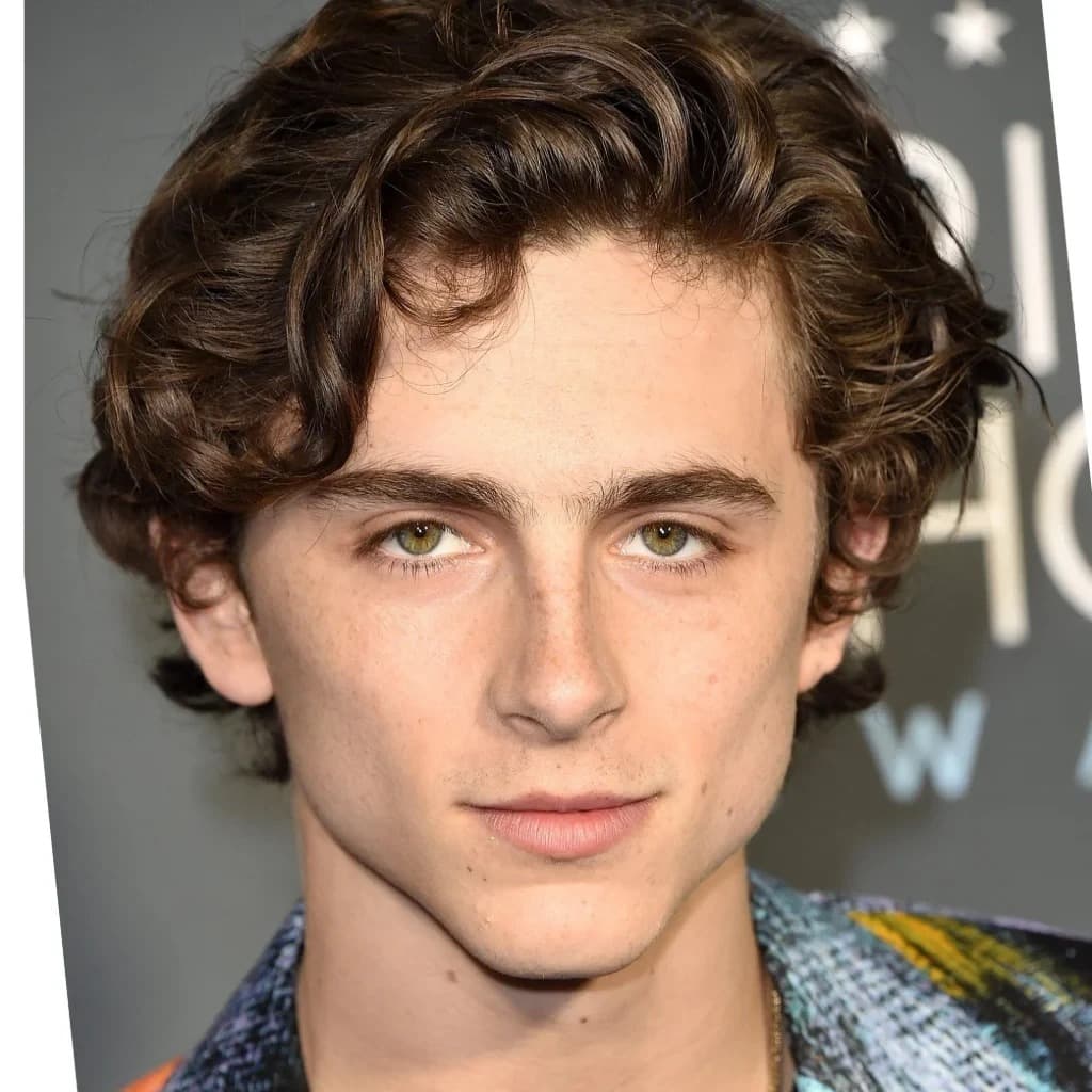 Foto de frente de Timothée Chalamet